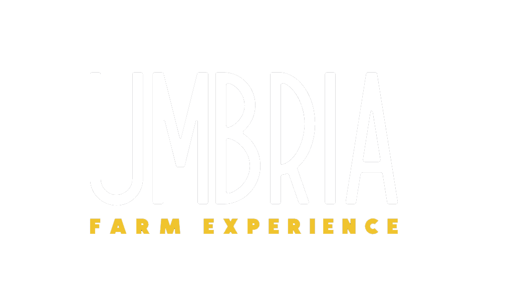 Umbria Farm Experience