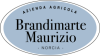 brandimarte_logo brandimarte_logo